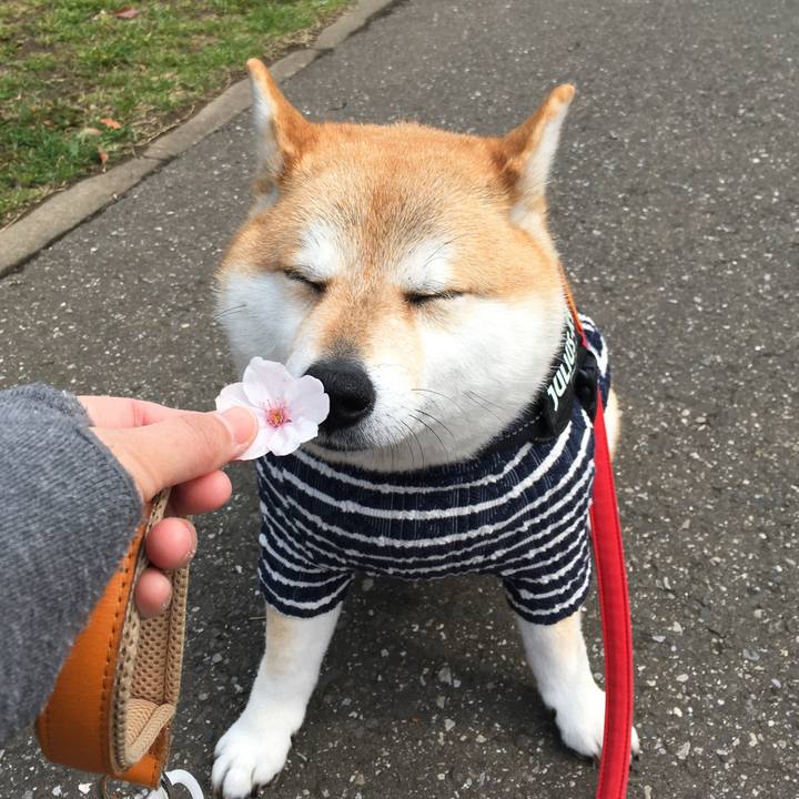 508f9564 9aaa 4bd6 a610 0cf50297b5bc 1584943748438