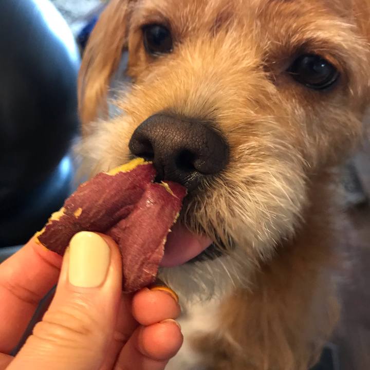 508f9819 d0b7 4fdb 9e09 3386fb863796 1601169494672