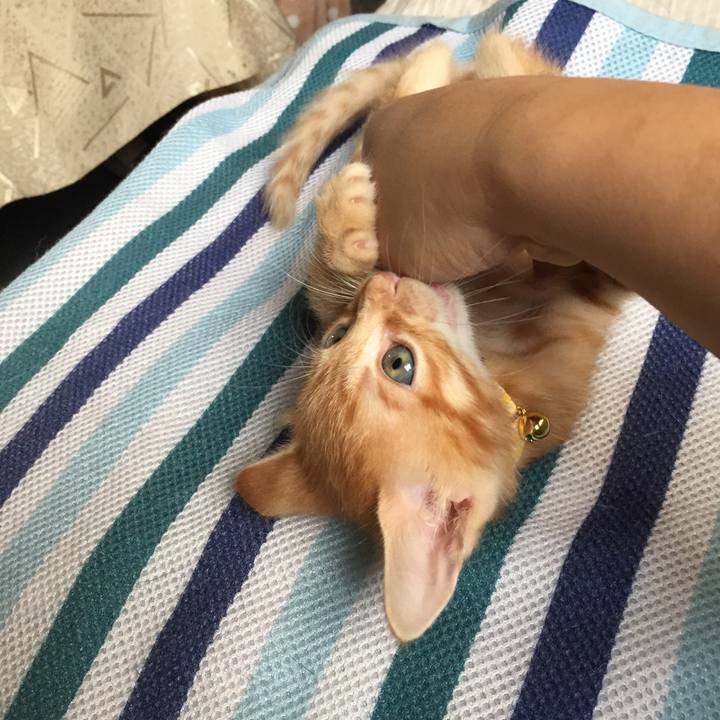 508fd9a9 d179 47e4 97a8 f54177e4d804 1534645425067