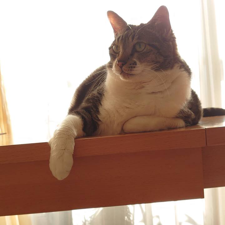 50904246 28c3 4312 b5ee d72bc56b8b47 1635034711999