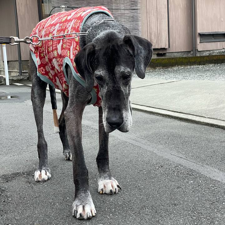 50905b85 cf14 404b 8298 0c30e89adac2 1665191253998