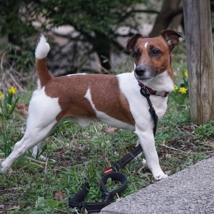 50907f2c 927e 4fa3 9eb2 fe4d8a7fcbc4 1520895077860