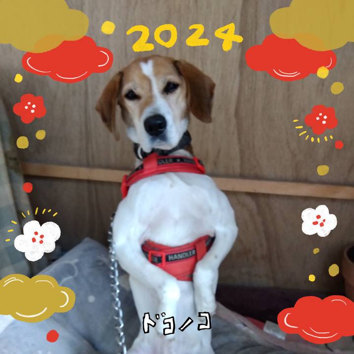 509092e8 4764 4672 befa 15a24953f150 1704108894911