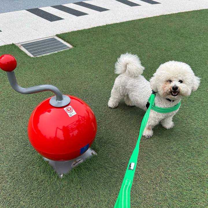 5090f5cd ab2a 479b 99ea 23a8c7dd99d5 1773532871291