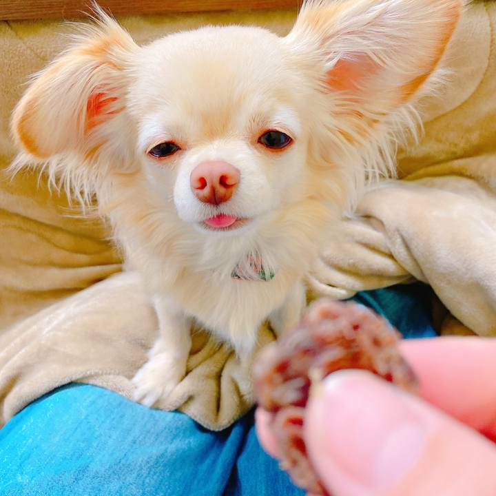 50913861 bd27 45ba 9822 6093739ebe4c 1647156606513