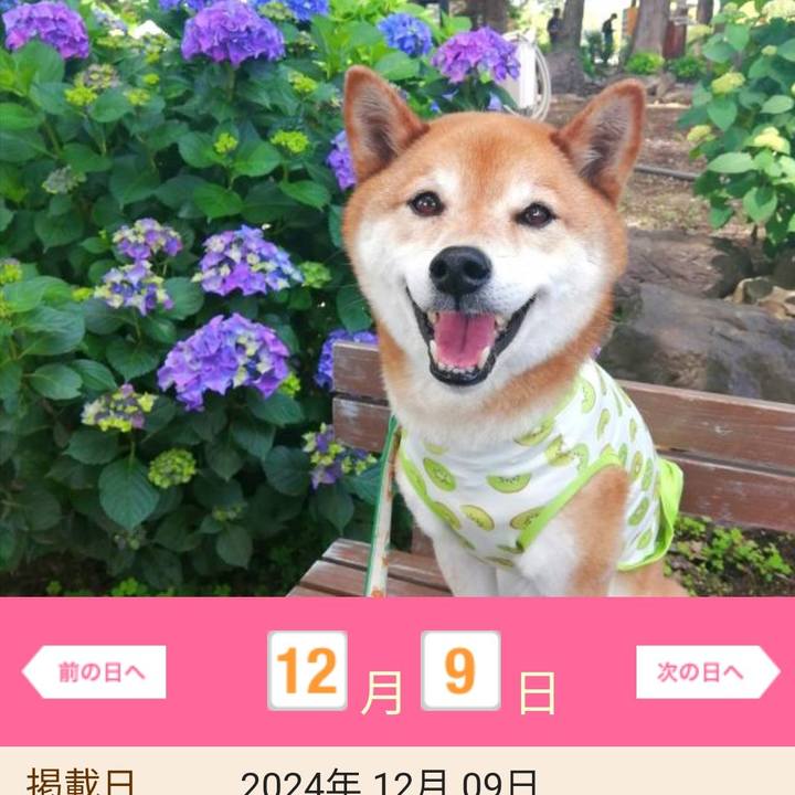 50916761 8062 4e83 8c79 e134f793f31f 1693709630679