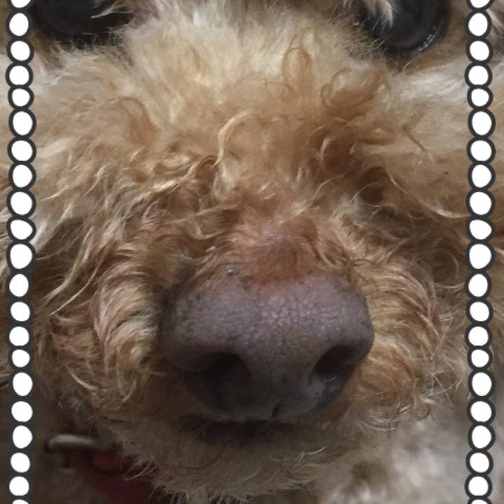 50919980 54ba 4792 9848 f1c542538176 1523444673107