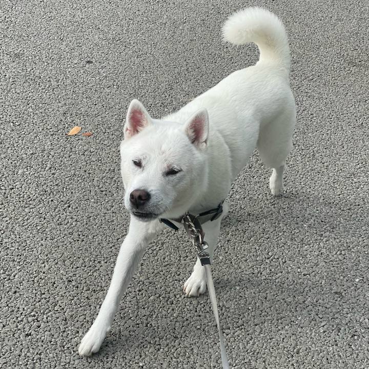 5091bd0a 1ab7 4898 8aaf a8fef949f45d 1684756448791