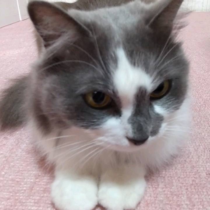 5091de4f 975d 42dd add7 02da9221b644 1672487593190