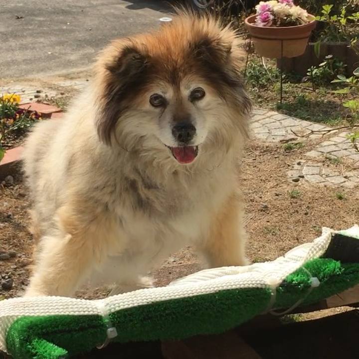 5091e85c 5082 47bc a11b 5ea46db32bf9 1583993518706