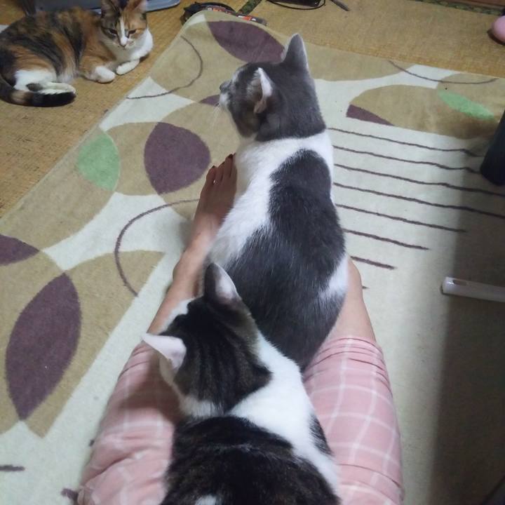 5092428d 9506 4050 b68d f590ea0f33fa 1512215906837