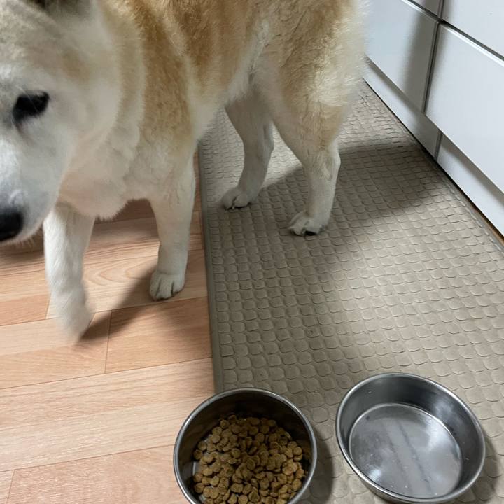 50924dbd 74bf 4622 9cd1 cbf84789d239 1646177250251