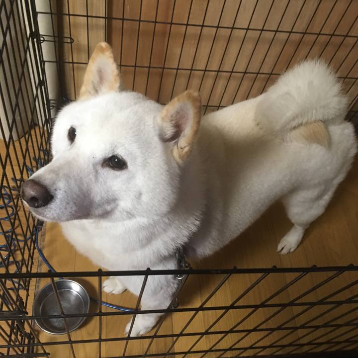 50924e06 d601 42ab 80c7 bf873f470bbf 1541239944772