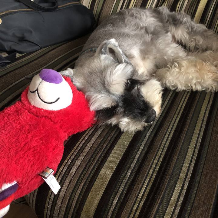 509253c6 816d 4301 b0d6 4c73078e542b 1530935137578