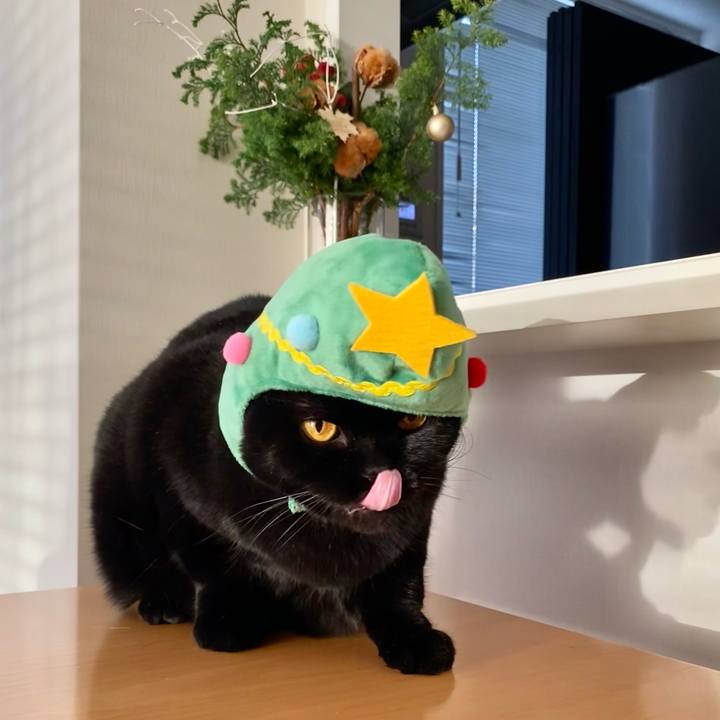 50926309 9ba8 4f95 a1af 8382ad3b5d13 1703488148625