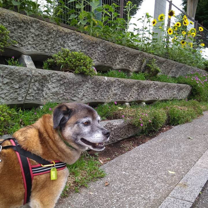 509287c7 85b7 4b3c 8857 4aab97c3998a 1562717946596