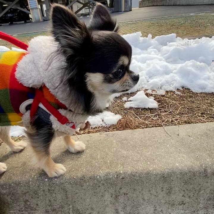 50931631 9179 46c5 b030 063996a80e98 1640671256159