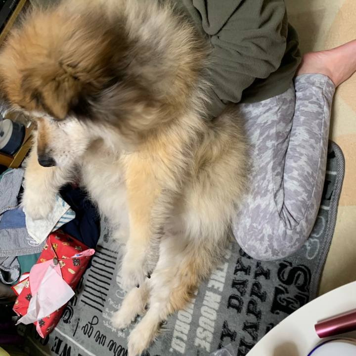 50933da1 fa9a 4f2b 975f fb223e509af9 1561854436271