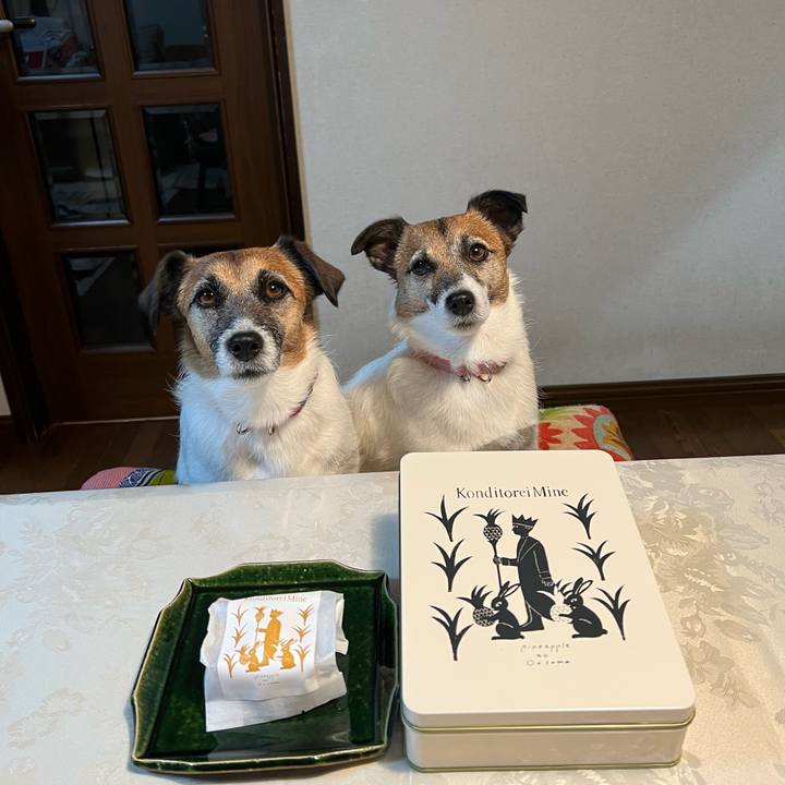 50935027 ee3c 4dd2 b9d9 a6172f981f9a 1680247537775