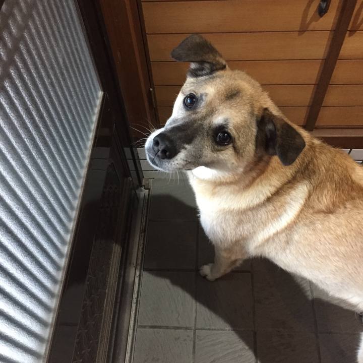 50938403 3356 4e08 a55c c56d25731127 1530961157448