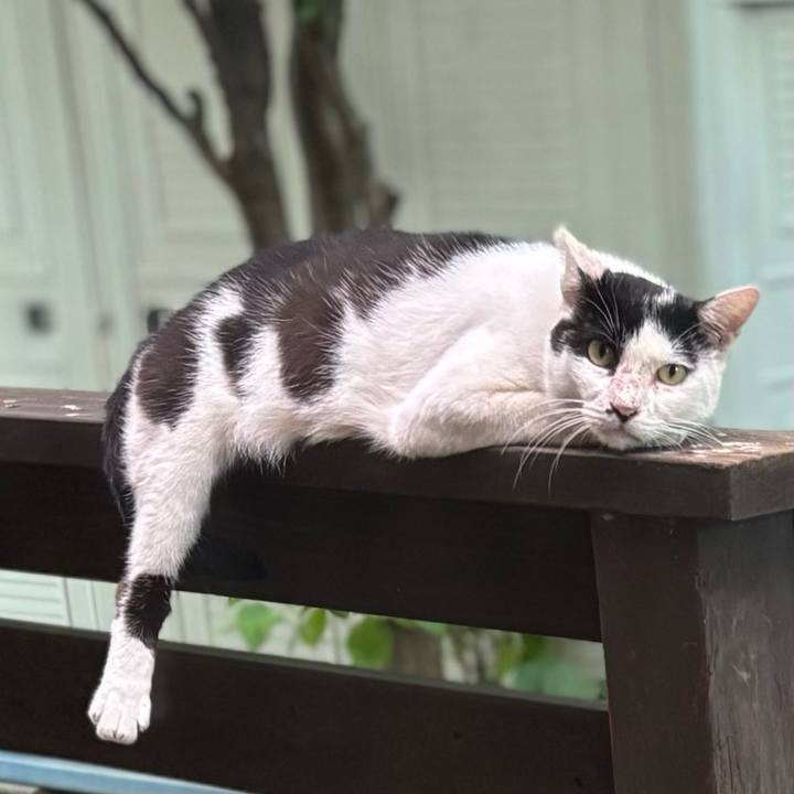 5093daf2 2364 4810 a53f fb9b5a4fdde1 1757816670942