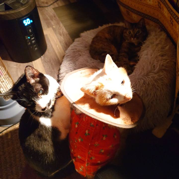 5093e513 76d6 41ee 9c1a d93ef338cfbd 1767014296108