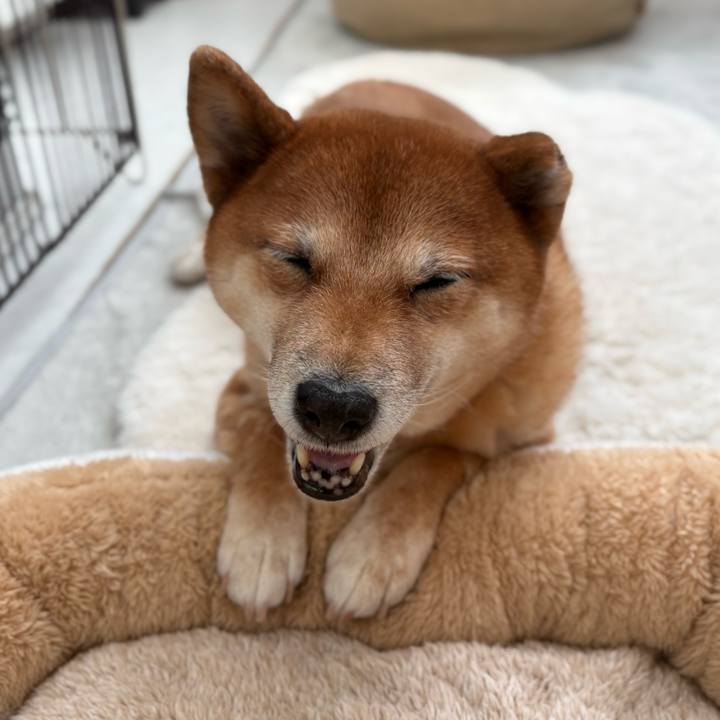 5094217c 779c 4a5f bae5 3c567215617b 1772593610791