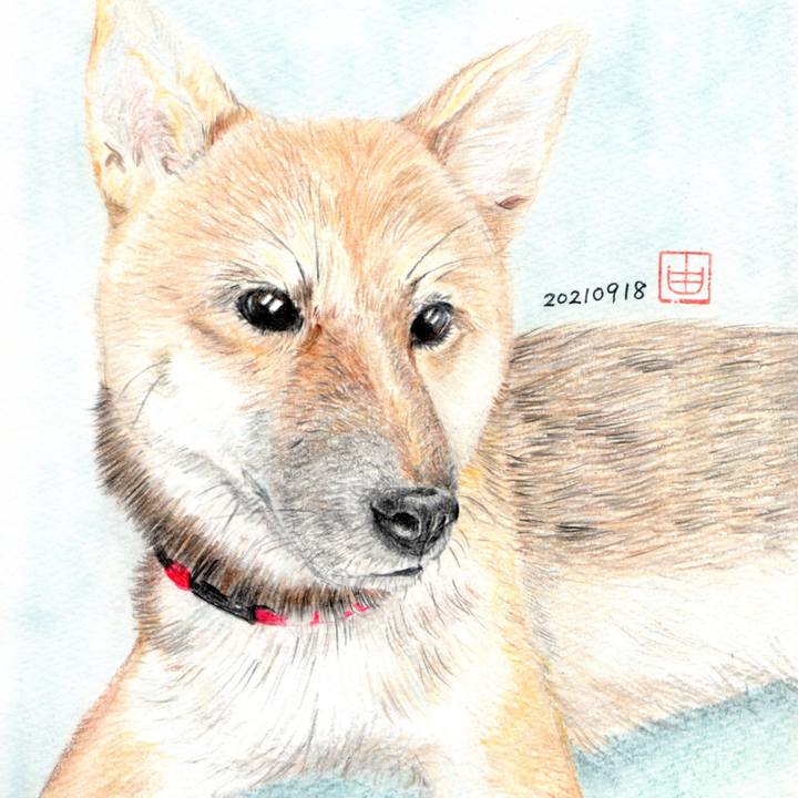 50945f2b 8da2 49e4 9c7d a5d28b66a971 1631939852465