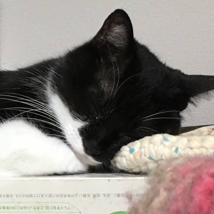 509481a0 e9de 48f0 8713 cfcfe6ad9051 1563046237500