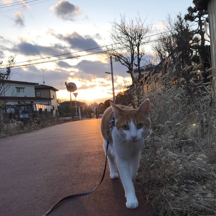 5094a1e2 57ab 4bc1 875f d068cc360edf 1516272843965