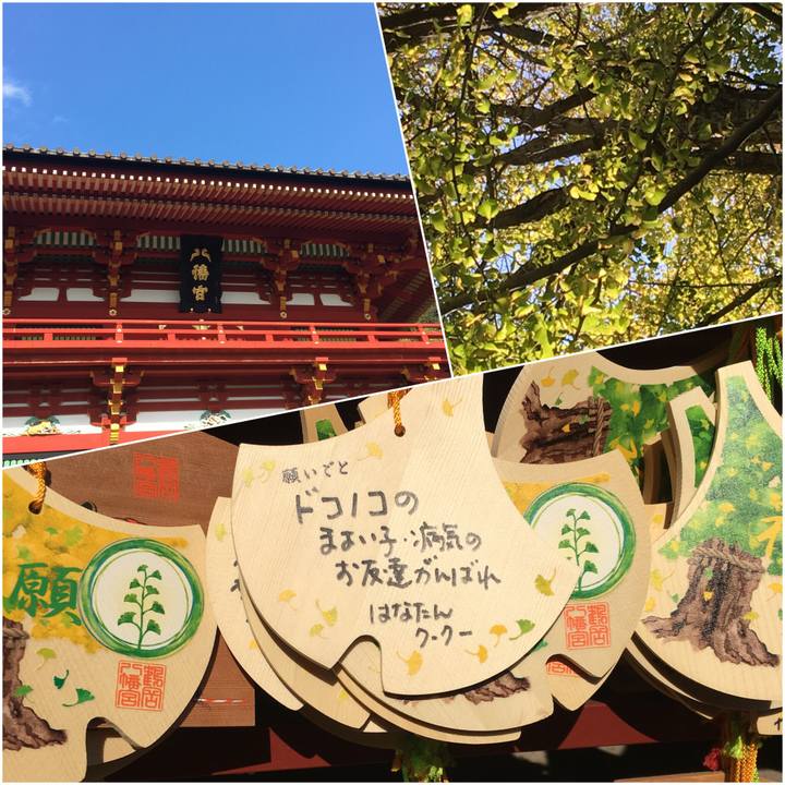 5094a602 b39e 4858 8ee5 5b23ebdc8ca7 1510401939430