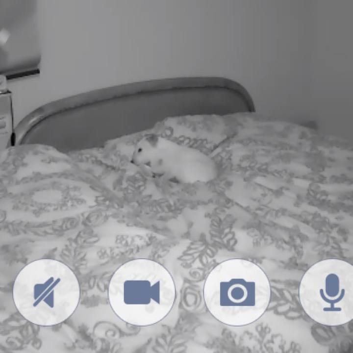 5094da71 b2e3 4031 a2db c426c70111c9 1578832289705