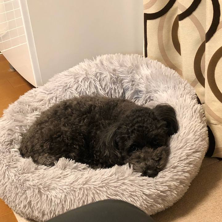 5094f343 9946 42f8 9d83 f312d48cfce5 1605008249406