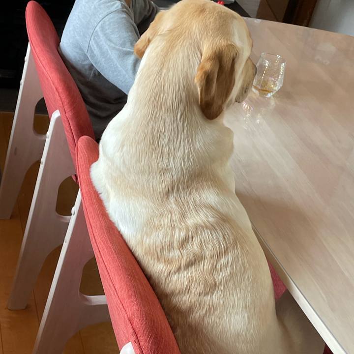 5094fadd f288 4bb9 a91e 1b3a5a571fe4 1651637692656