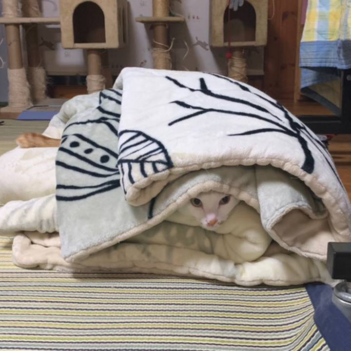 5094fb30 ddac 415b b5d7 9b0b9891c7c8 1558362355937