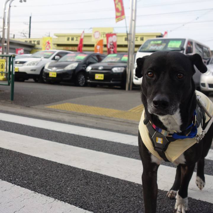 5094fce1 5aa2 4930 997d 95a9a8a20d11 1643849138030