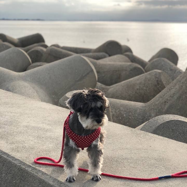 509507c9 cf15 44f2 b4eb 416d6ba415ce 1539335644784