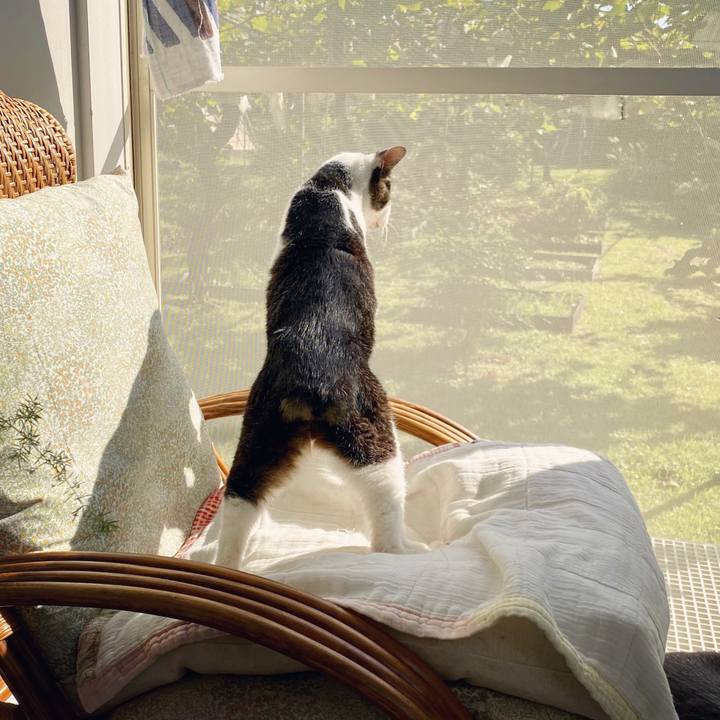 50955382 113d 4296 bf3b 961632e640be 1601607771081