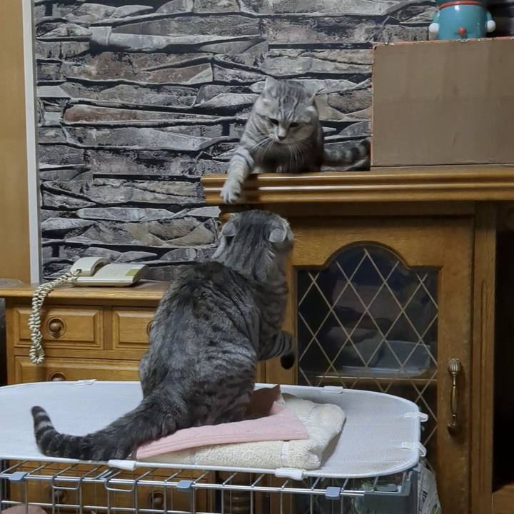 5095b657 fae2 4174 8ac9 b592e3b7d83b 1698417061567