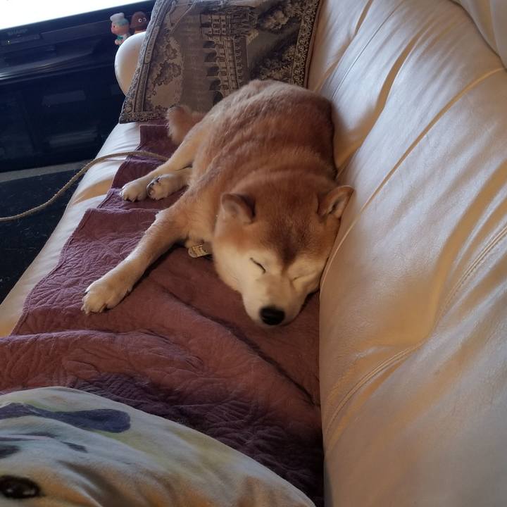 5095bcd3 f552 4551 96fd 968ace8c9ebf 1701212120530