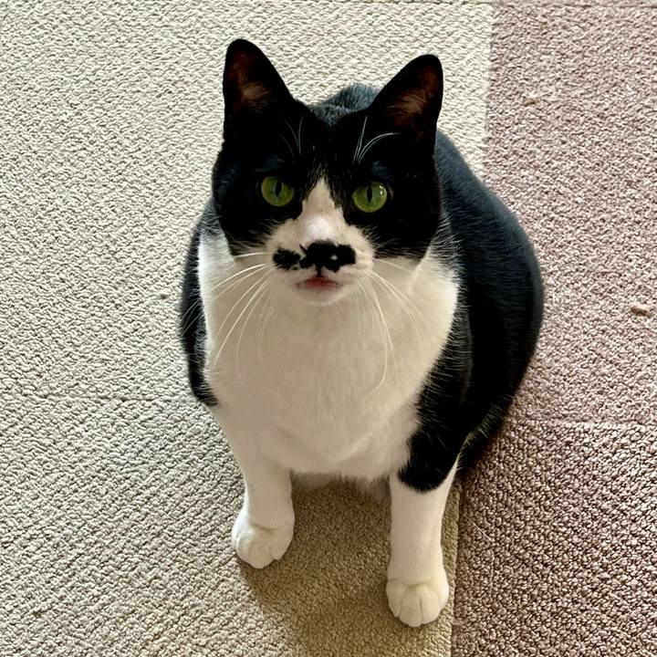 5095bd0e 4cd5 421f bc3a b6404b5064f4 1774563585855