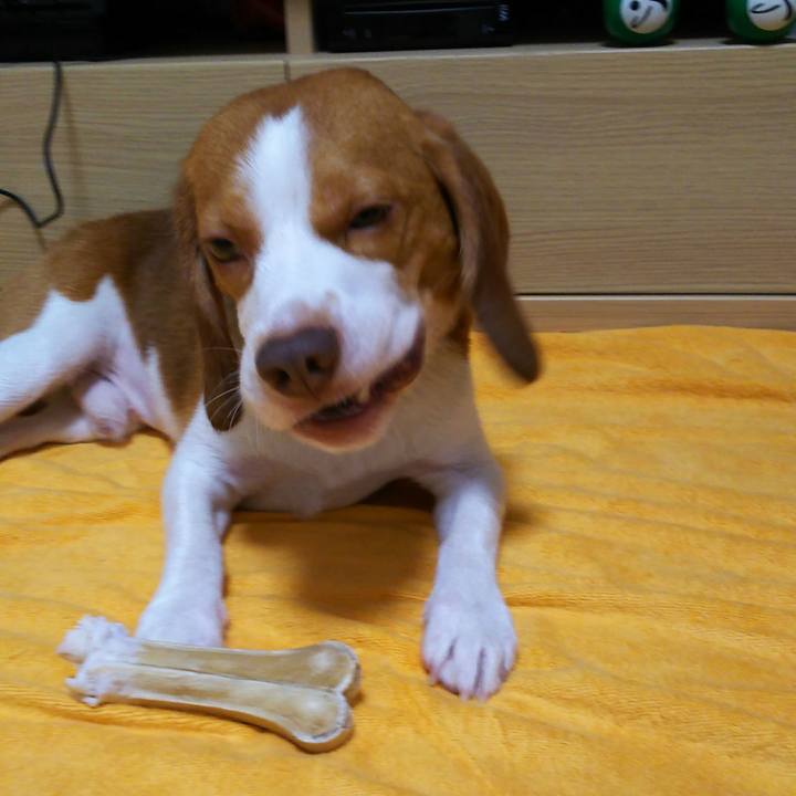 5095c4d2 8aae 47fc acfb e55790e80c39 1538308934816