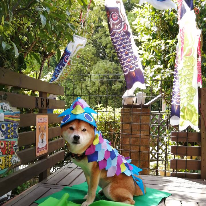 5095d22b f7d9 4aa5 b12b 5def3fdf76bb 1682732391837