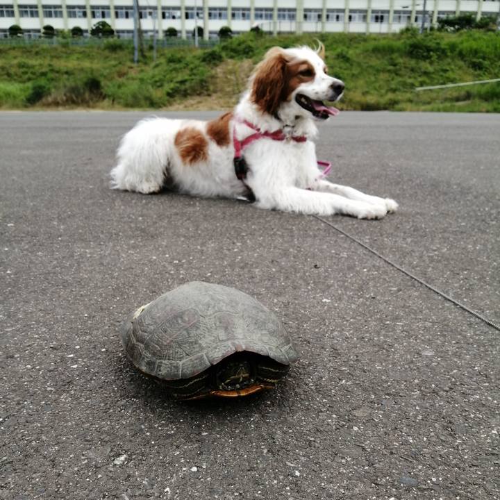 5095d591 c3de 40af 8bb8 bf47c30e9222 1591963231869