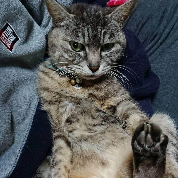 5095eda4 e697 4630 ac59 6dc1cf28ca3a 1554805157091