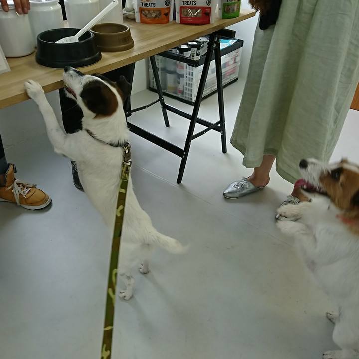 50962647 288b 4a94 b529 94819cb5c4f1 1527335481221