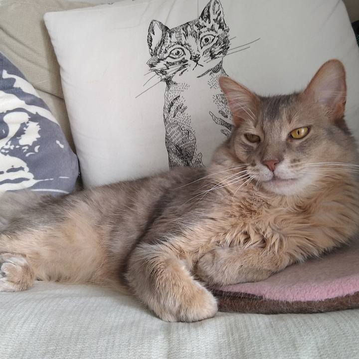 509664e8 af02 4c72 a66e cdc1571448e1 1620292275955