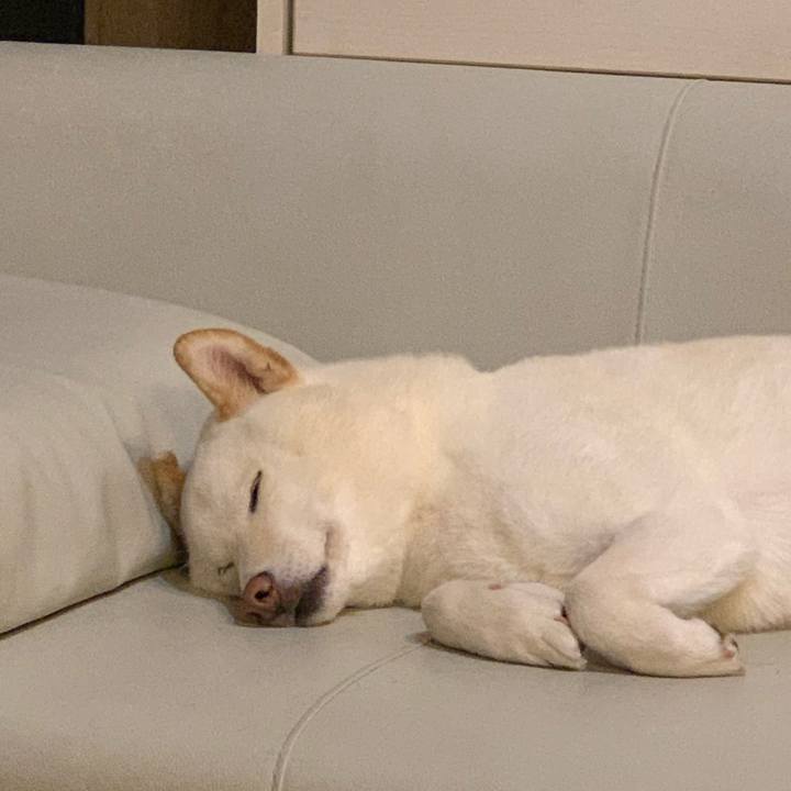 509673a2 b939 4e95 9336 ba38c93349cb 1555158818133