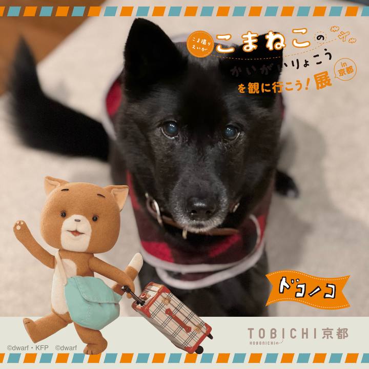 5096a063 e4ee 41c6 b2f1 948d1d2b9ca2 1740211185979