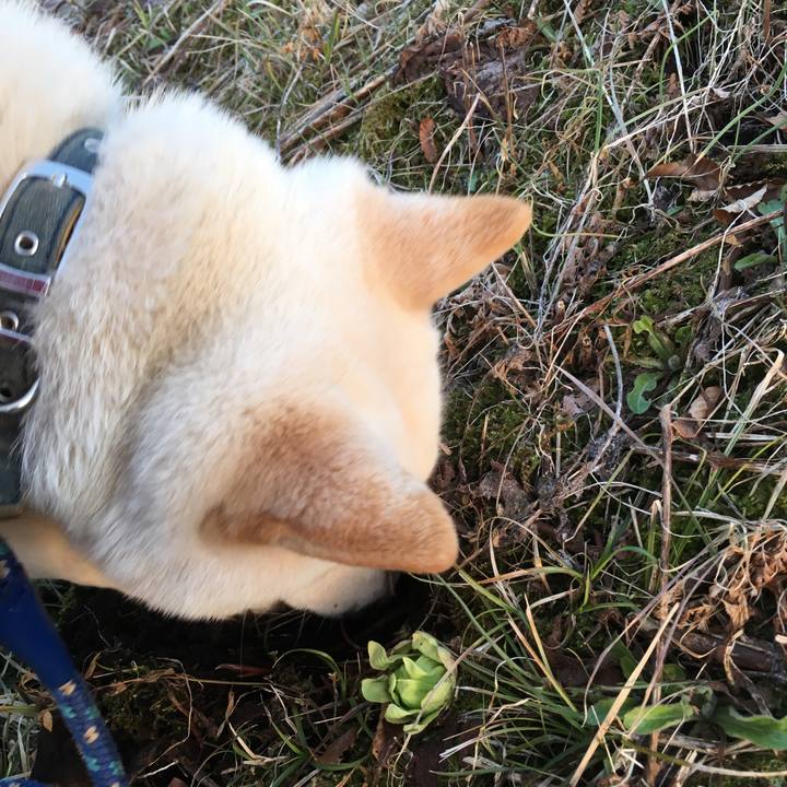 5096f848 e492 444c b040 cd9c896fa0c7 1520671125266